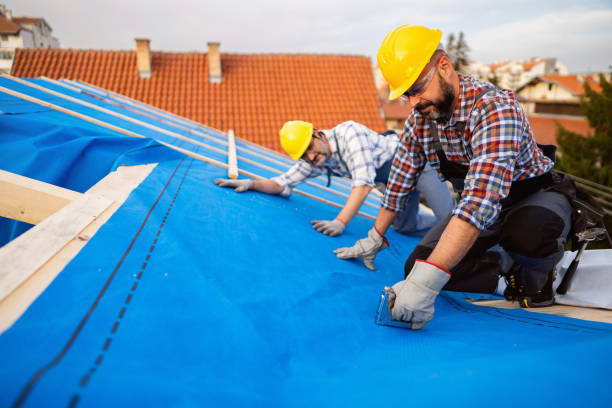 Best Storm Damage Roof Repair  in Bloomington, TX