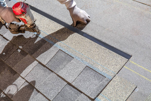 Best Gutter Installation and Roofing  in Bloomington, TX
